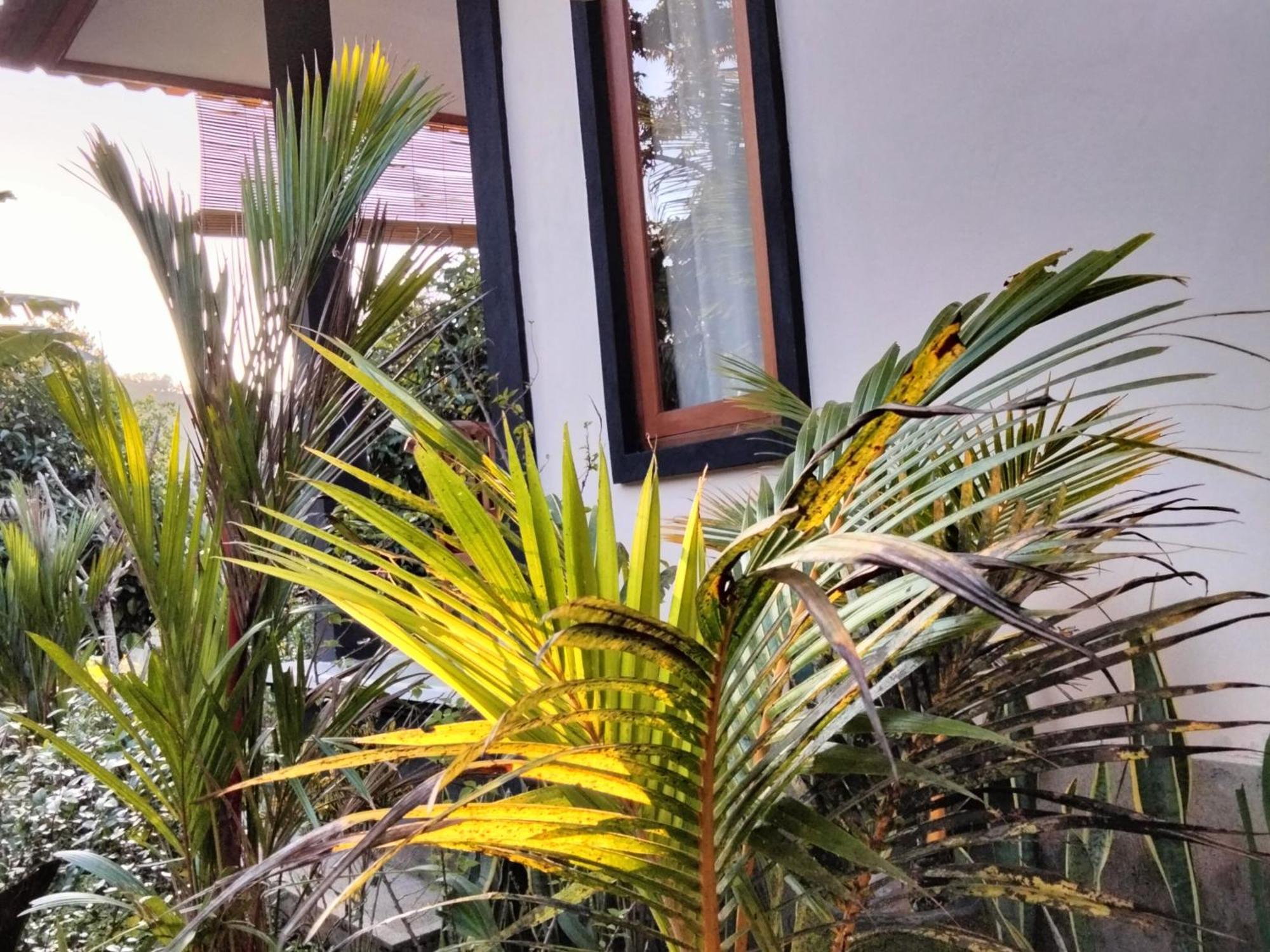 Buntera Homestay Sidemen Sidemen  Dış mekan fotoğraf