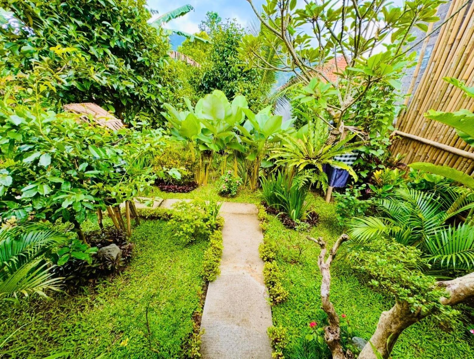 Buntera Homestay Sidemen Sidemen  Oda fotoğraf